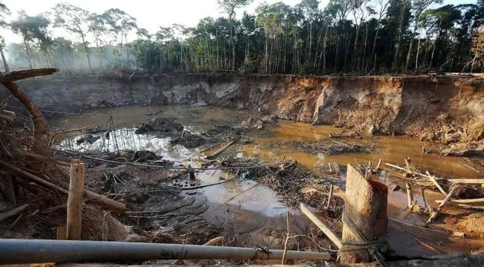 Conservation Failures